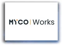 If You Want To Create A Professional Image With A Virtual Business Address, Use MycoWorks