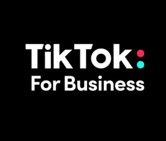 TikTok For Business advertising platform for video campaigns and marketing analytics